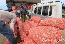 제주 대정읍에 마늘 종자 생산기반 구축…연간 150만구 생산