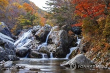 국립공원 덕유산 구천동계곡 단풍절정
