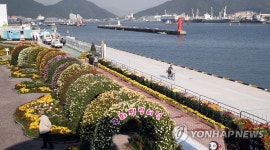 바다와 함께 보는 국화