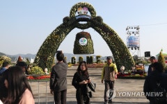 마산가고파국화축제 D-day