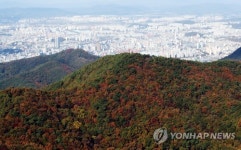 단풍·억새가 장관 무등산 정상 개방 행사에 등산객 북적