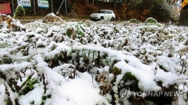 한겨울 연출하는 강원 산간도로
