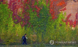 가을 깊어가는 캠퍼스