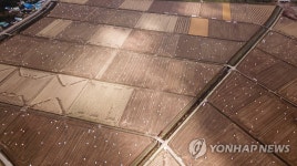 겨울 성큼, 사료 준비하는 농촌