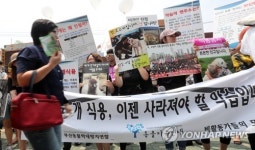 60년 상설 개 시장 부산 구포시장 역사 속으로