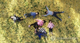 은행나무 밑에 누워서