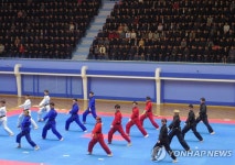 한국 태권도시범단의 단독 시범공연