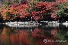 [주말 N 여행] 호남권: 산자락 병풍 삼은 애기단풍…가을볕도 붉게 물들었다