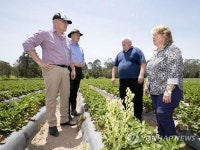 호주, 워홀러 체류 최장 3년으로 1년 늘려…농장노동 조건부