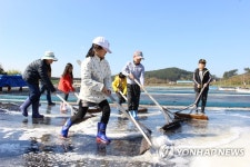 신세계아이앤씨, 볼런투어 진행