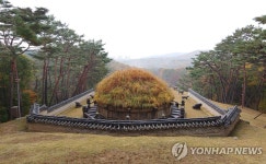 억새 무성한 태조 건원릉 특별 개방
