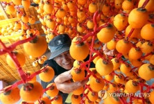 함안 곶감 맛있겠네!