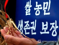 수확한 벼를 다루는 농민의 손길