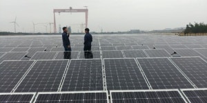 [르포] 국내 최대 군산 수상태양광…100% 국산에 중금속 위험 없어