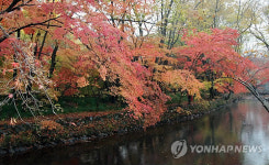 [주말 N 여행] 호남권: 천년고찰에 단풍 비가 내린다…선운사의 만추