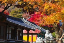 [길따라 멋따라] 천 년 은행나무, 박문수 다리…수능 합격 기원 수도권 도량