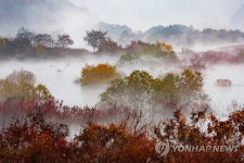 진안군 주천면 용담호 생태공원 절경