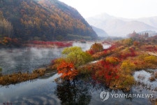진안군 주천면 용담호 생태공원 절경