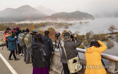 안군 주천면 용담호 생태공원 사진메니아 북적