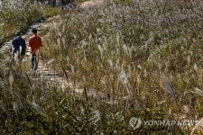 재약산 생태탐방로