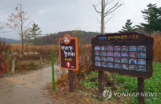 속초 반려견 놀이터