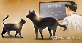 반려동물에 내장형칩…내년부터 서울 동물병원서 1만원에 가능