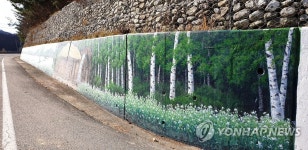 평창 흥정계곡 도로변 메밀밭 벽화로 단장