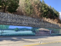 평창 흥정계곡 도로변 메밀밭 벽화로 단장