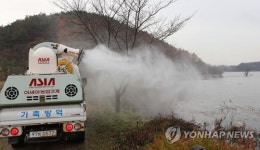 충남 서천 야생조류 분변 AI 저병원성…"방역대 해제"