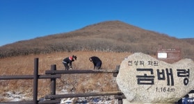 천상의 화원 인제 곰배령 생태계 위협 미국쑥부쟁이 제거
