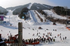 웰리힐리 스키장 개장