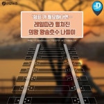 [카드뉴스] 쉼표가 필요하다면, 의왕 왕송호수 나들이