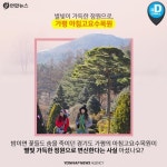 [카드뉴스] 따스한 불빛…겨울에 가야할 경기도 불빛 명소 5선