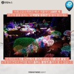 [카드뉴스] 따스한 불빛…겨울에 가야할 경기도 불빛 명소 5선
