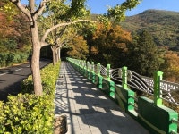 남애삼거리(하행) | 범어사 순환도로 하행구간 7일부터 일방→양방통행