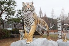 광주 우치공원 입구에 우뚝 선 백두산 호랑이