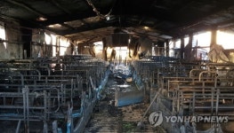 김제 돼지농장서 불…1천800여 마리 폐사
