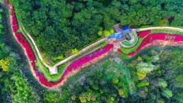 앵글로 본 고창의 산하…우리 동네 풍경 전시회 개막