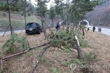 블랙아이스 주의 남해고속도로상 장흥 인근서 19대 추돌