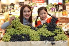 아삭한 식감의 포도 맛보세요