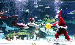 산타가 드리는 황금 돼지