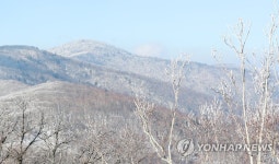 눈꽃 입은 가리왕산