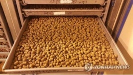 어린 물고기 남획 그만…양식용 배합사료 품질 높인다