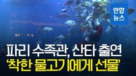 [영상] 파리 수족관에 나타난 산타…착한 물고기에게 선물을