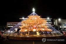 구미시청 크리스마스트리