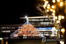 구미시청 크리스마스트리