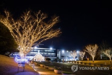 구미시청 크리스마스트리