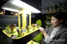 부산 도심에 냉동 컨테이너 활용한 스마트팜 가동