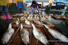 속 시원한 대구 맛보세요…거제 외포항서 대구수산물축제