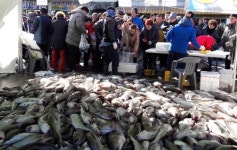 속 시원한 대구 맛보세요…거제 외포항서 대구수산물축제